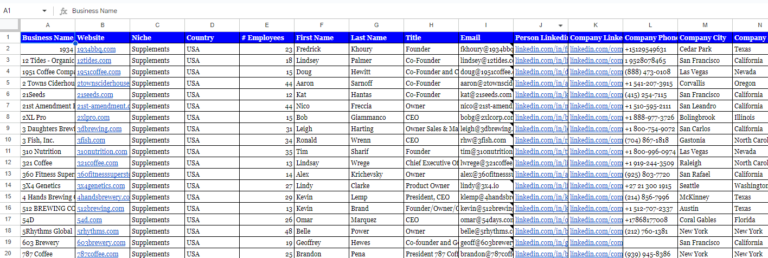 E-commerce Leads Sample